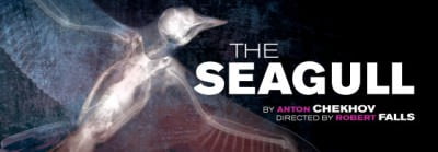 The Seagull at goodman theatre