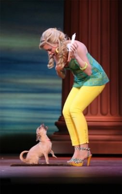 Legally Blonde--the Musical