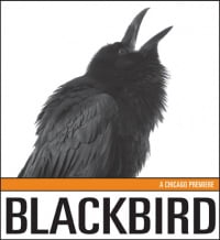 blackbird by David Harrower