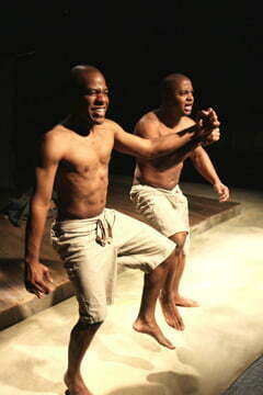 the island by fugard