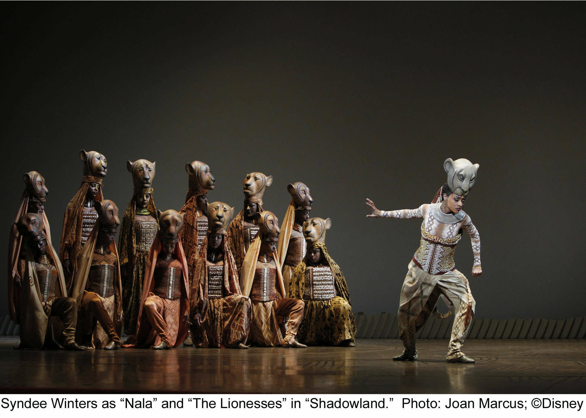 The Lion King Theatre reviews