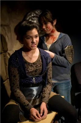 the iliad by craig wright at a red orchid theatre