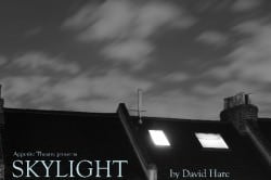 skylight by david hare